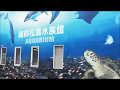 越前松島水族館CM　2016 の動画、YouTube動画。