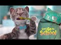 Play Fun Kitten Pet Care Kids Game  - Little Kitten Preschool - Christmas In School Learning Games
