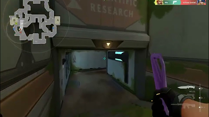 Guess My rank #4