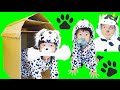 ★わんちゃんごっこ！「ダンボールで犬小屋作り～」★made doghouse in cardboard box★