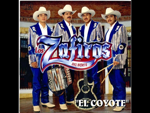 Ver video de El coyote