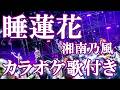 睡蓮花 湘南乃風 カラオケ on vocal  カラオケ練習用  歌付き ボーカル入り 歌詞付き karaoke songs