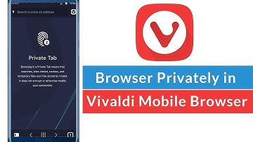 How to Browser Privately in Vivaldi Mobile Browser?