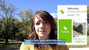 How To Use the iNaturalist Smartphone App