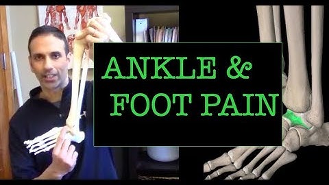 Ankle & Foot Pain: Mobilize your talus and fibula