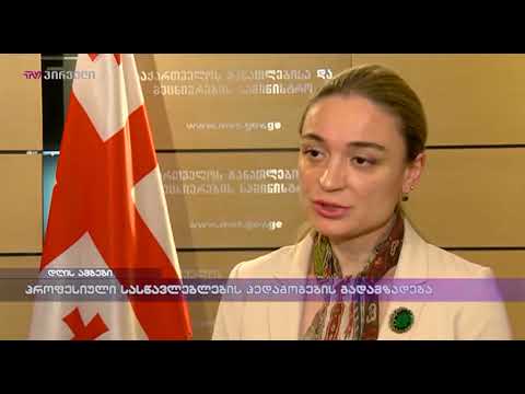 პროფესიული სასწავლებლების პედაგოგების გადამზადება