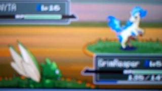 Shiny Ponyta #1!!!