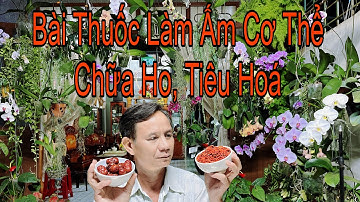 2 Bài Giúp Làm Ấm Cơ Thể Ngăn Ngừa Và Điều Trị Các Bệnh Về Hô Hấp, Tiêu Hoá Cực Hay 