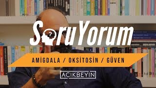 SoruYorum - Amigdala / Oksitosin / Güven Resimi