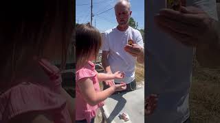 Brave Girl Holds Spider Calmly