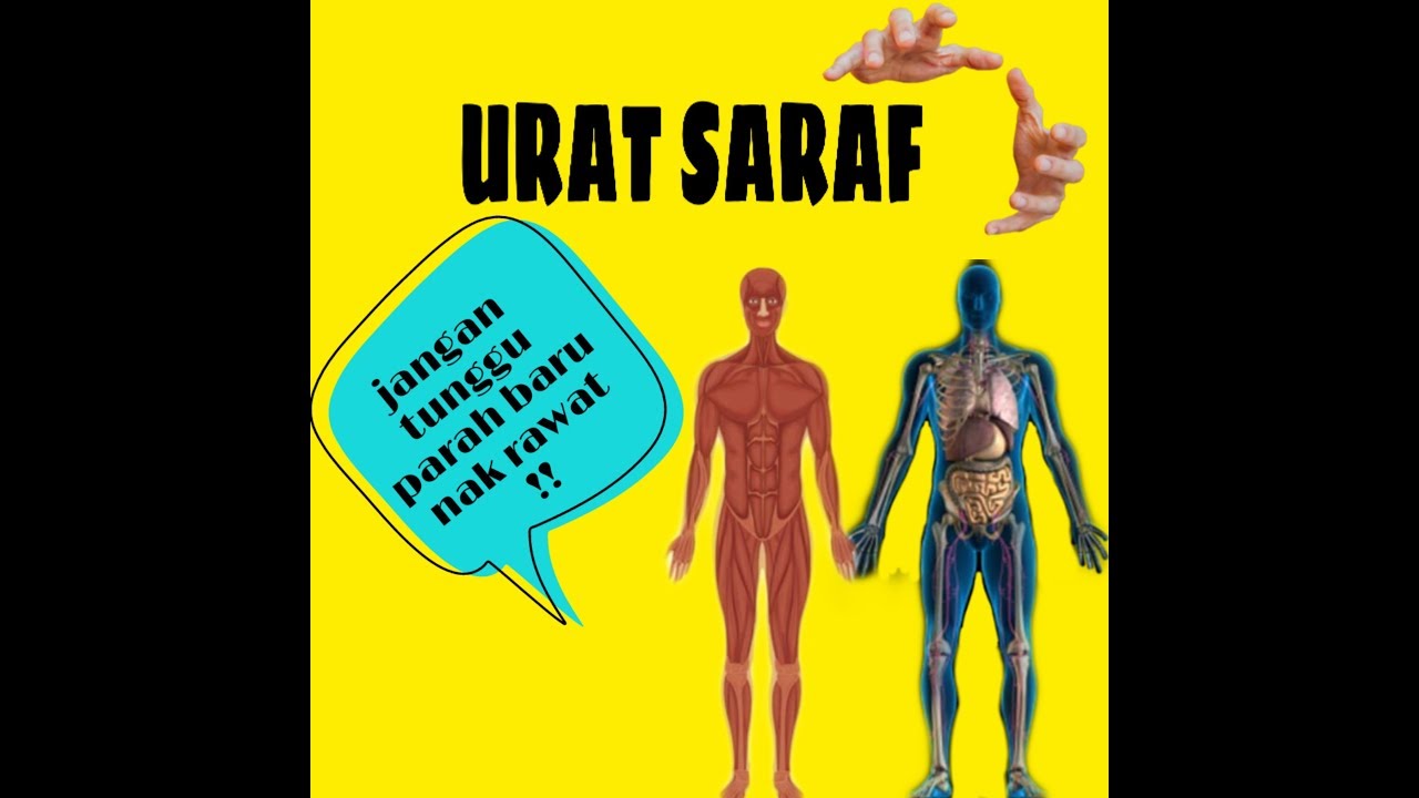 #01 RAWATAN URAT SARAF - YouTube