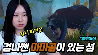 엄청쎈 마마곰 있는 발보아 섬 🏝️ 공략! ⚔️ | 래프트 5편 (Balboa Island)