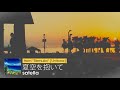polytone Release Line-up Preview - Part 2