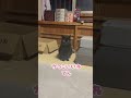 目が口ほどに物を言うタイプの猫