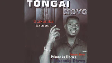 Munyaradzi Wangu