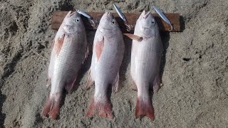 PESCA CON JIGS REPINTADOS / MATONES DE PARGOS  / LOS CABOS