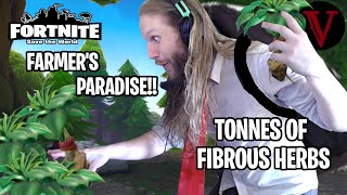 Top 5 Ways To Farm Fibrous Herbs Fortnite Save The World Teamvash Youtube Farm Herbs Fortnite Farm Herbs Fortnite Top 5 Ways To Farm Fibrous Herbs Fortnite Save The World Teamvash Youtube