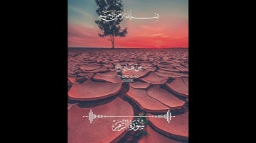 #قران_كريم #ترند #سبحان_الله #quran #السعودية #لايك #تلاوة_خاشعة
