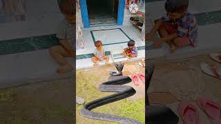 little baby Vs Big snake  #shorts #tyshorts #mhadev #bholenath #shiv #trending