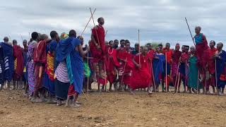 We visited the Maasai boma while Maasai warriors were jumping and celebrating the Emuratta-ceremony
