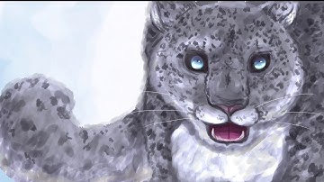 Snow Leopard Speed Draw