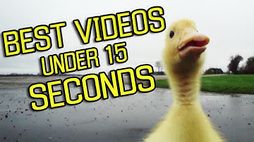BEST VIDEOS UNDER 15 SECONDS [MEMES/SHORTS COMPILATION]