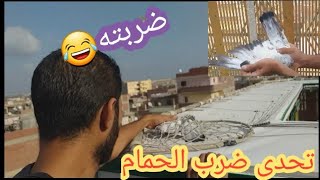 تحدى صيد فرد حمام من 6 حمامات اصتده وضربته #التربووووابوحازم