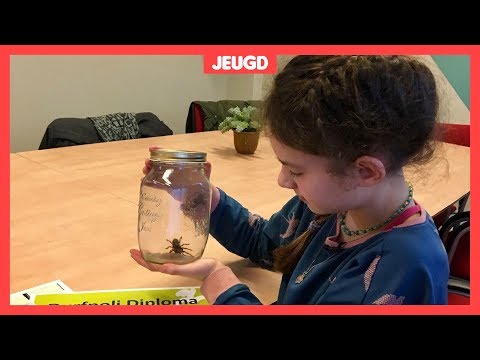 Video: Een kind helpen een angst voor insecten te overwinnen: 12 stappen