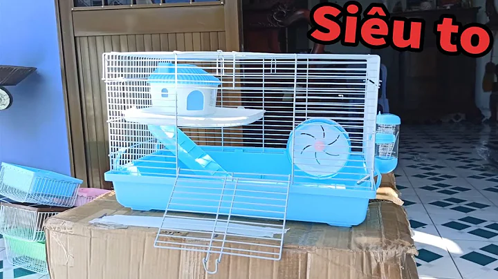 REVIEW MẪU LỒNG DÀNH RIÊNG CHO HAMSTER BEAR