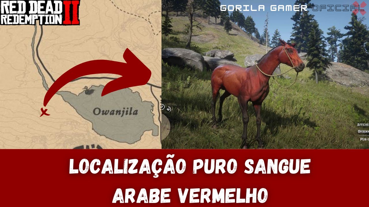 O DOMADOR DE CAVALOS - Em busca do CAVALO DA NEVE, o melhor cavalo do jogo  - Red Dead Redemption 2 