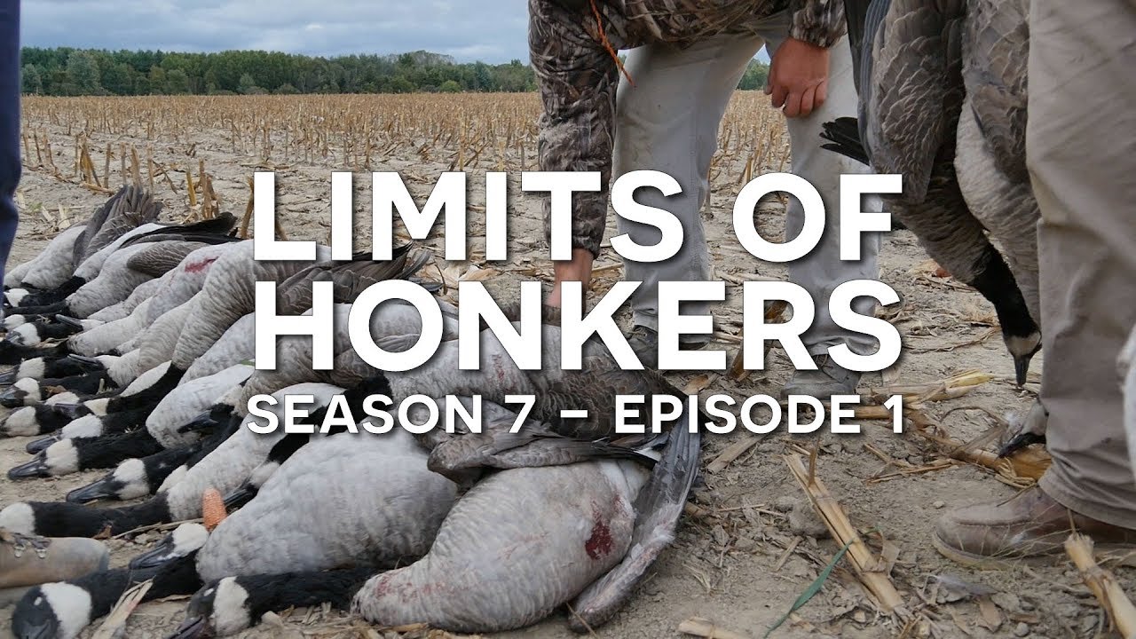TRY, TRY AGAIN Early Season Goose Hunting in Michigan YouTube