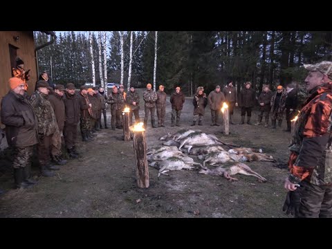 Video: Šiaurės Amerikos Sprogusių Elnių Populiacijos Medžioklė Ir Kontrolė