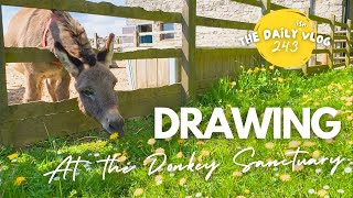 DRAWING at a Donkey Sanctuary - The Daily(ish) Vlog 243