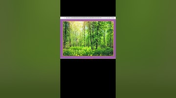 Image Gallery Using HTML, CSS And Javascript #shorts