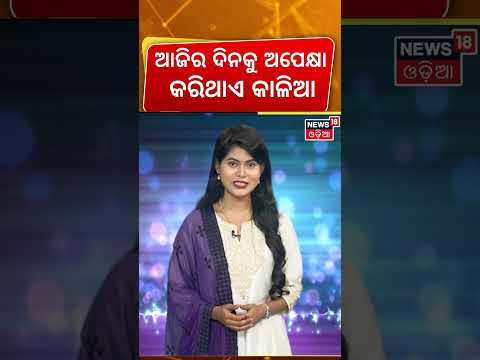 ଆଜିର ଦିନକୁ ଅପେକ୍ଷା କରିଥାଏ କାଳିଆ Snana Purnima 2026 | Snana Yatra 2026 |Jagannath Snana Yatra