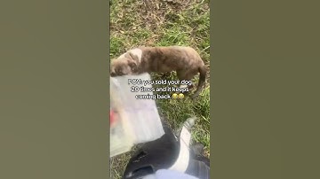 Join link in channel bio to learn 💰📲| #foryou #shorts #money #motion #rich #fyp #explore #wealth