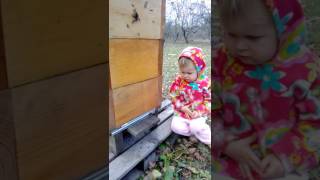 Дочь наблюдает за пчёлками