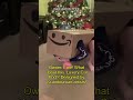 "When Your Cat Hates the $200 Cat Tree but Loves the Box" 📦🐈096 cat