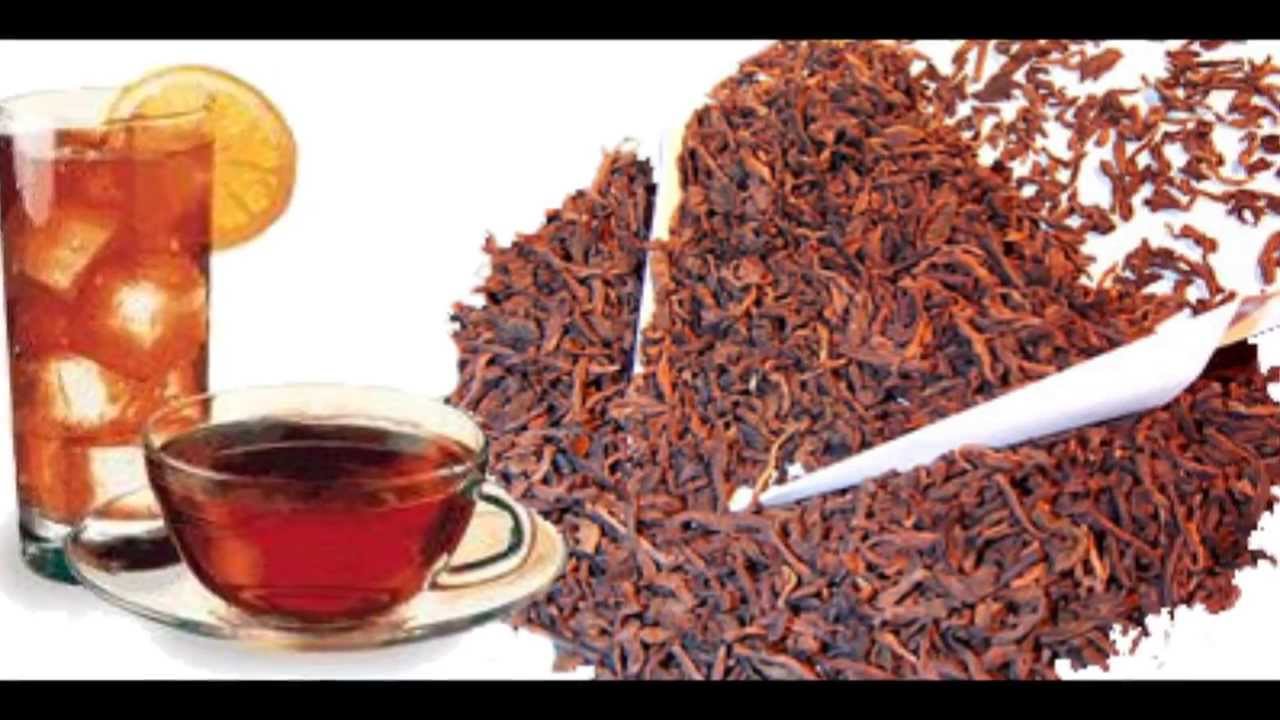 Rooibos te