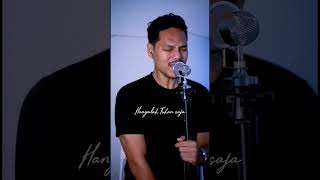 Di Persimpangan Dilema Terry Shahab Cover