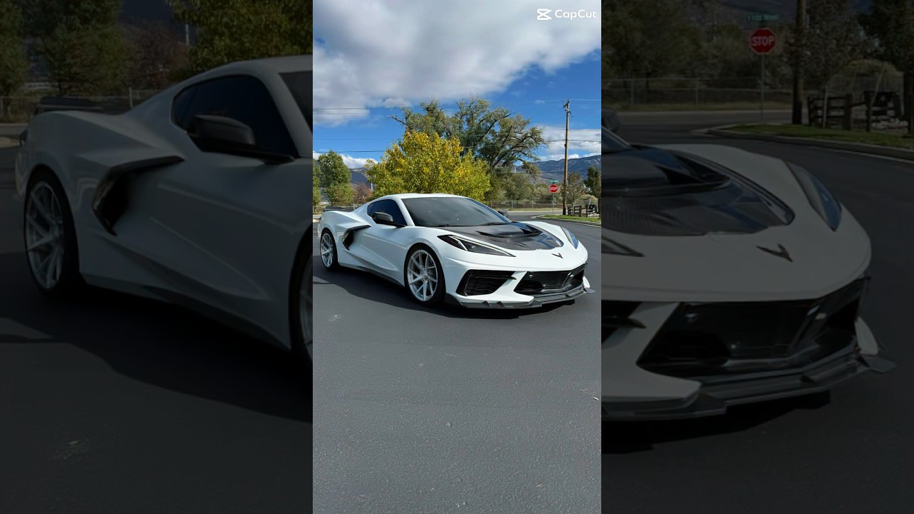 Got my New ZR1 carbon hood!  