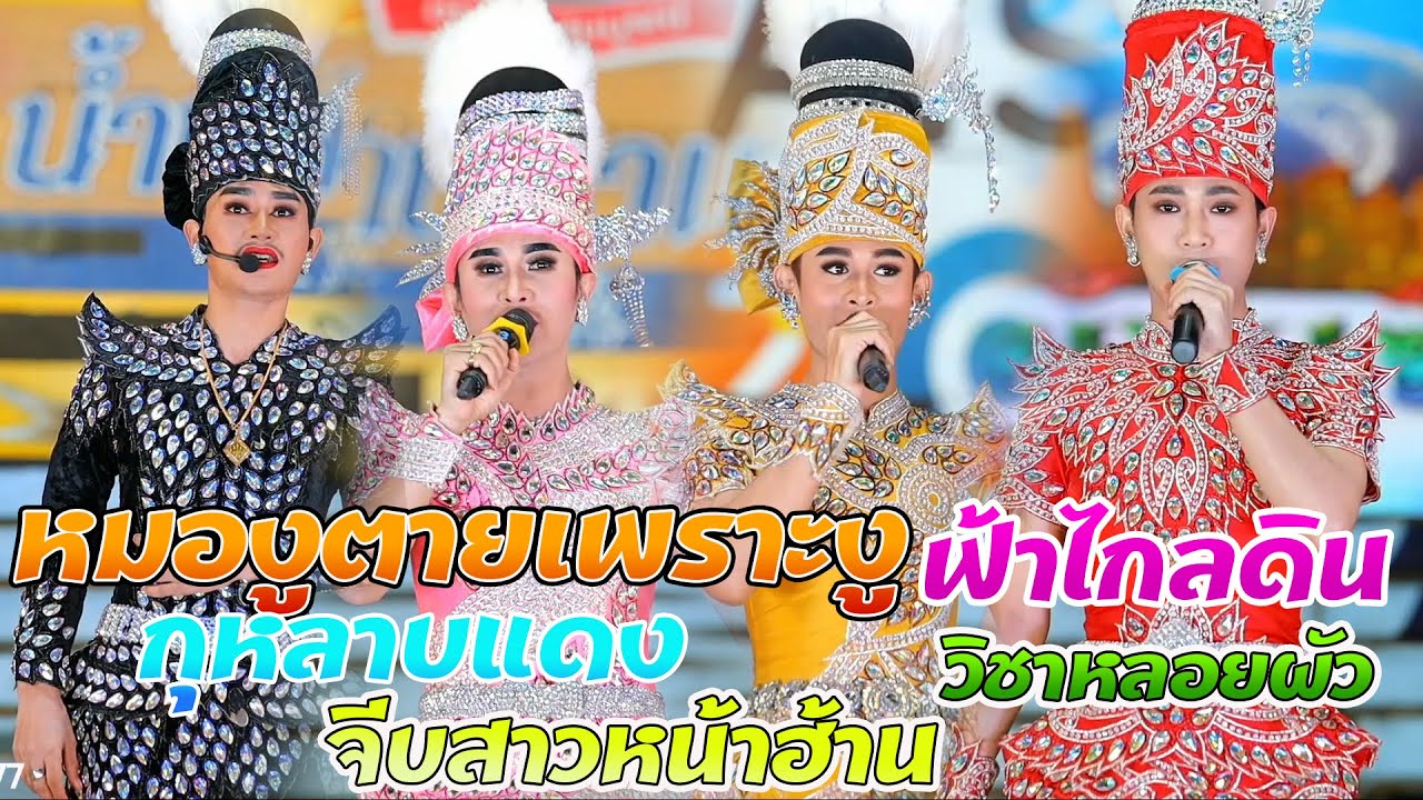 รวมเต้ยพระเอก 5 l หมองูตายเพราะงู จีบสาวหน้าฮ้าน ฟ้าไกลดิน l ใหม่ล่าสุด l ระเบียบวาทะศิลป์