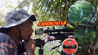 CANON 747 LB BERbuRu RUAK-RUAK