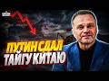 Россия в ШОКЕ! Китай МАССОВО ВЫРУБАЕТ Сибирь: Путин сдал ТЕРРИТОРИИ Пекину. Полная КАТАСТРОФА