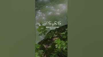لحظة صفاء مع القران... تلاوة تهدئ القلب للقارئ محمد صديق المنشاوي  #تلاوة_خاشعة