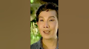 Vũ Linh hát cùng Ngọc Huyền điệu trăng thu dạ khúc quá hay trong cải lương giọt mưa thu | #shorts