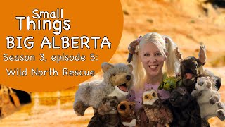 Small Things - Big Alberta! S3 Ep 05 screenshot 4