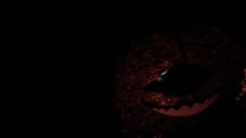 Kirk Odd Official 3D Model Showcase