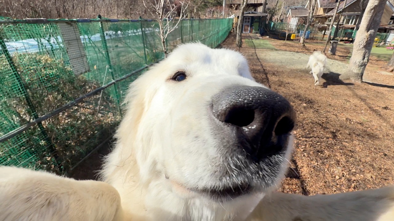 ルンルンさんへご挨拶に伺わさせていただきました
