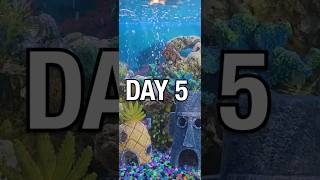 Day 5 of Opening MTG Booster Packs Until I Get A Full Set